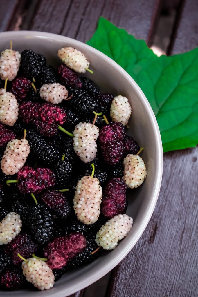 Mulberries, Tasty beverage mixes from 13 must-try drink recipes to try today